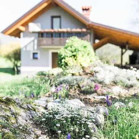 Holiday Na Biru 1 Holiday home Tolmin